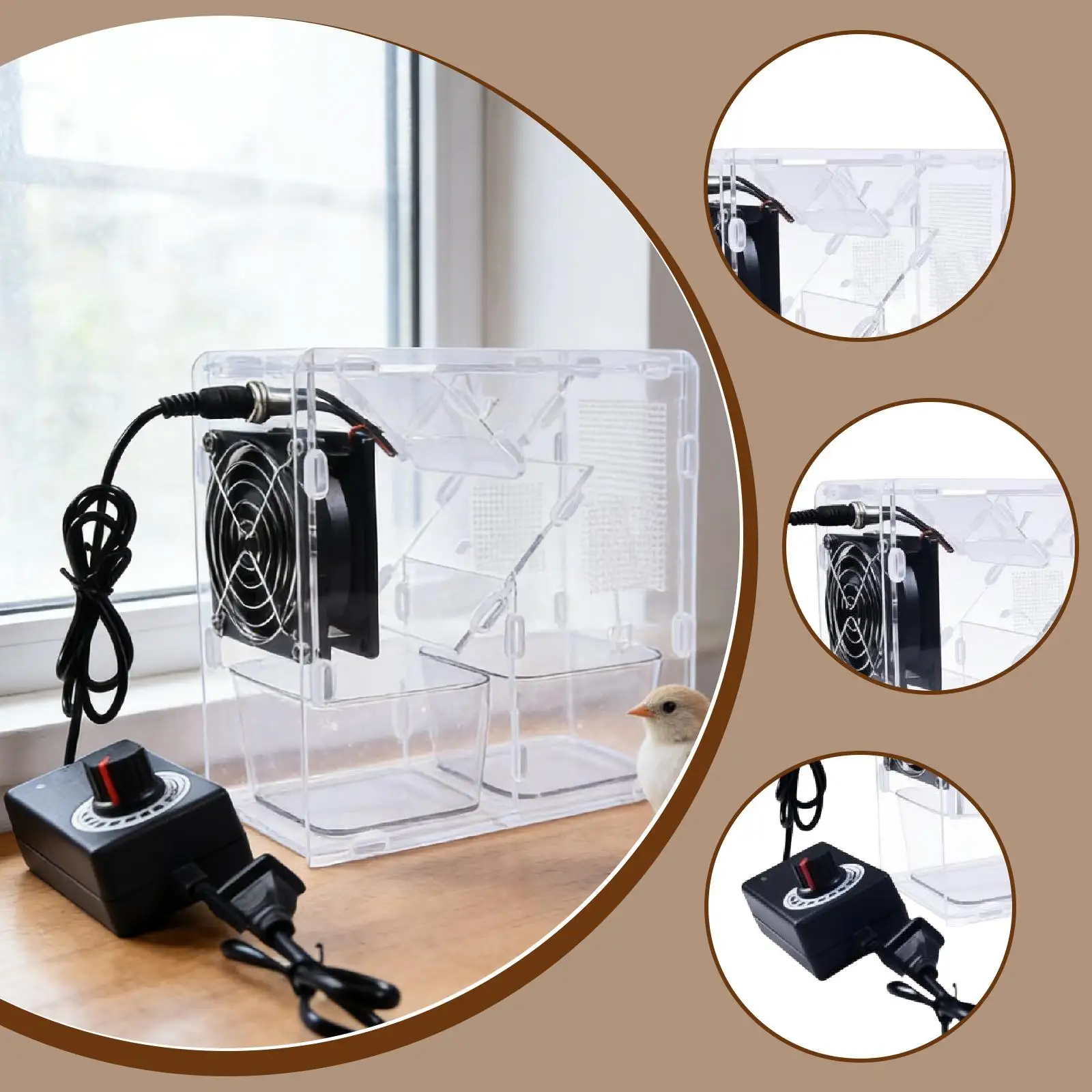 Bird Food Cleaning Machine Acrylic Shell Splitter Adjustable Speed Compact Design for Birds and Pets
