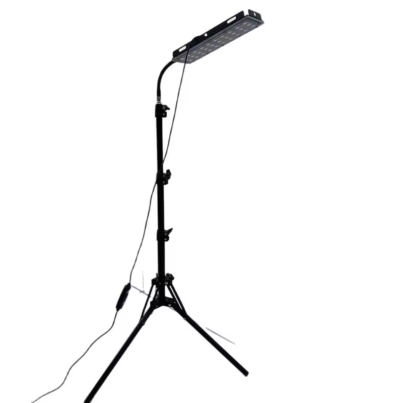 적색광 적외선 치료 램프