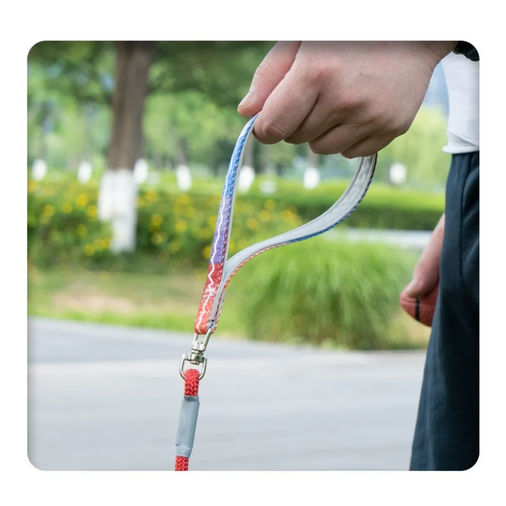 Thumbnail 3 - #24 Top Puppy Leads Picks for Every Budget