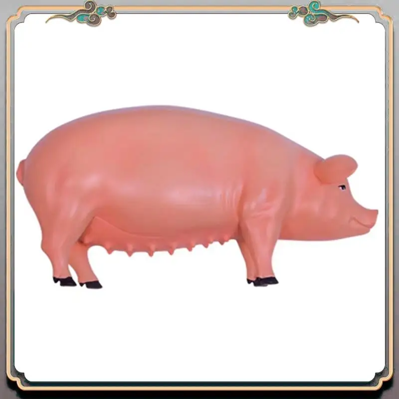 Durable 4D Vision Pig Organ Anatomy Model Animal Puzzle For Kids And  Students Veterinary Teaching Model