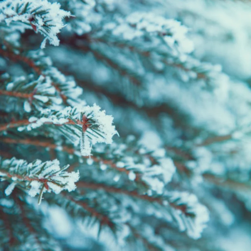 

1 шт. металлический сервопривод 25T для радиоуправляемых краулеров 1/10