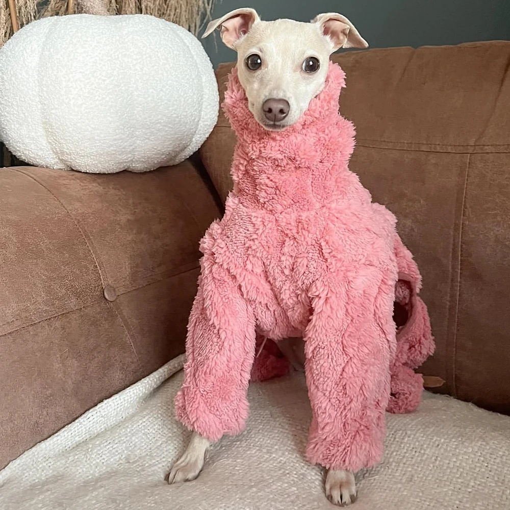 Abrigo invierno grueso cuello alto para galgos y whippet – Forro polar - imagen 2