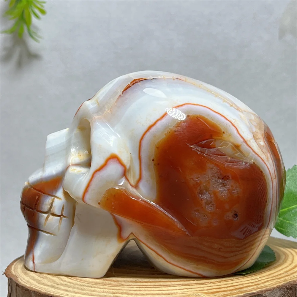 

Carnelian Skull Crystal Natural Agate Quartz Stone Carving Reiki Gemstone Rainbow Healing Minerals Witchcraft Home Decoration