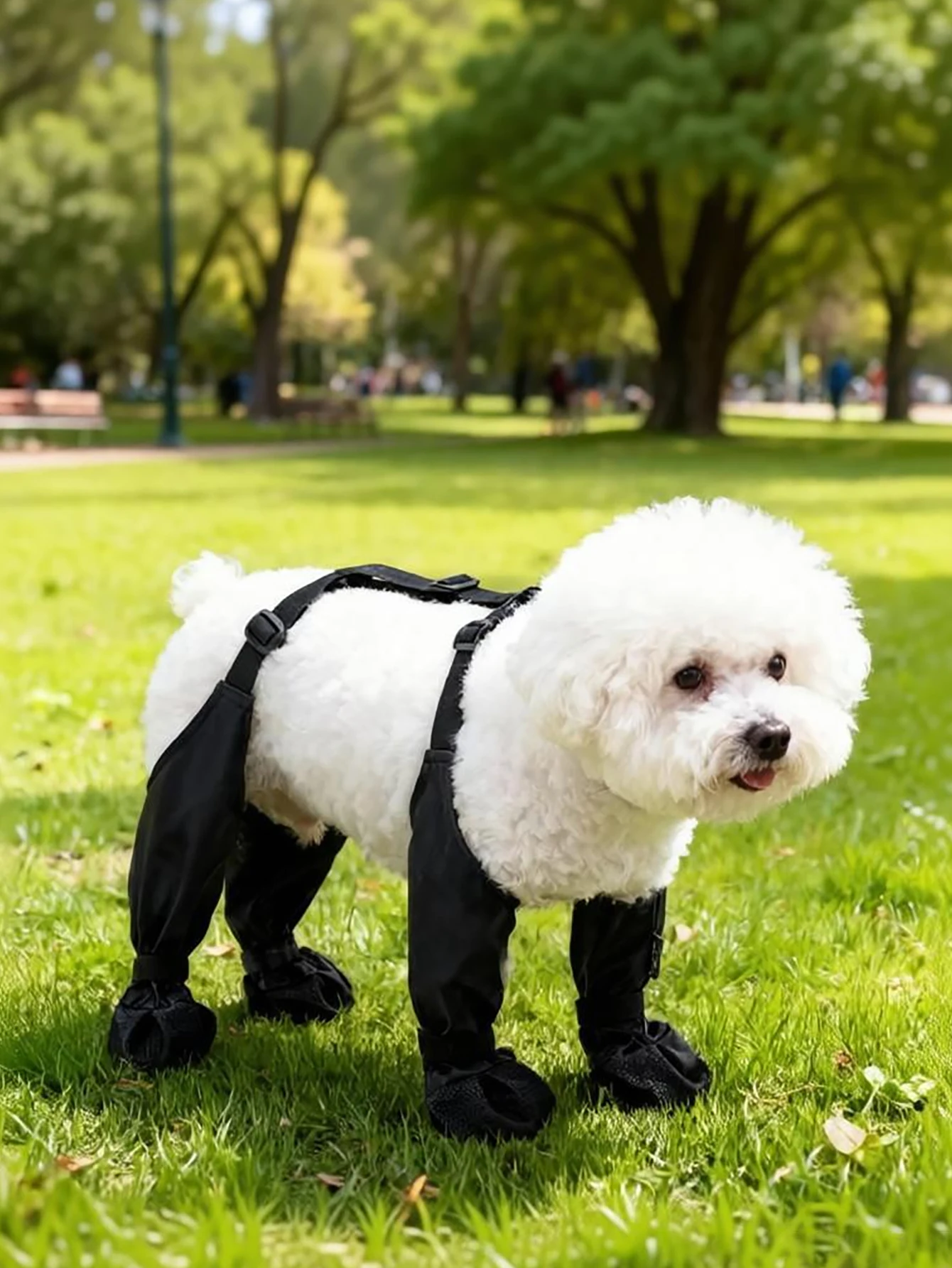 #66 Best Dog Boots to Buy In 2026