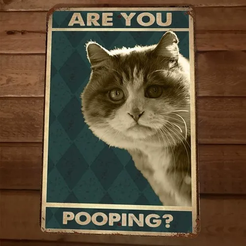Are You Pooping Cat  Metal Wall Sign Animal Bathroom Poster #1