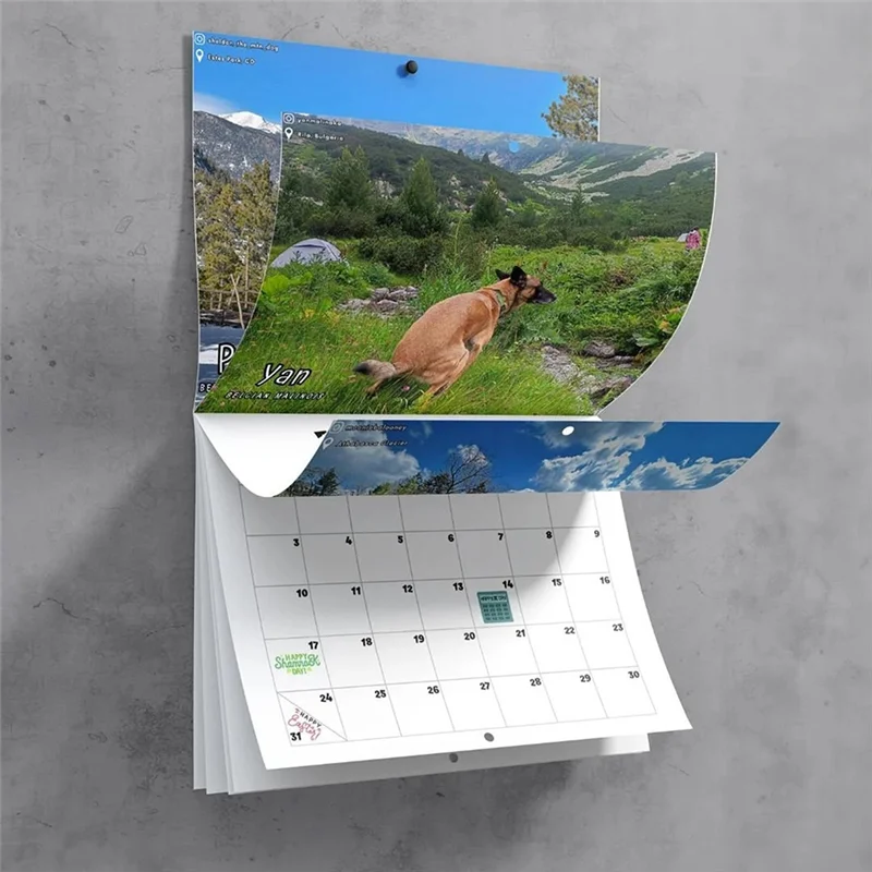 

J1UL1N 1 Piece 2024 Calendar Wall Calendar January 2024 From December 11X8.5 Inch For Christmas Gift
