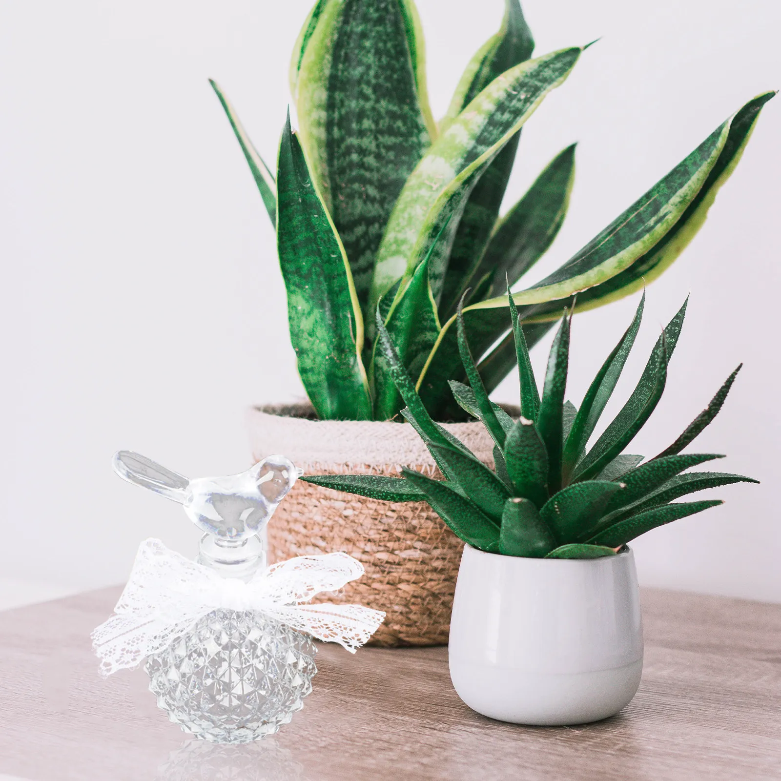 Clear Embossed Glass Perfume B - Fragrance In Home recension och pris
