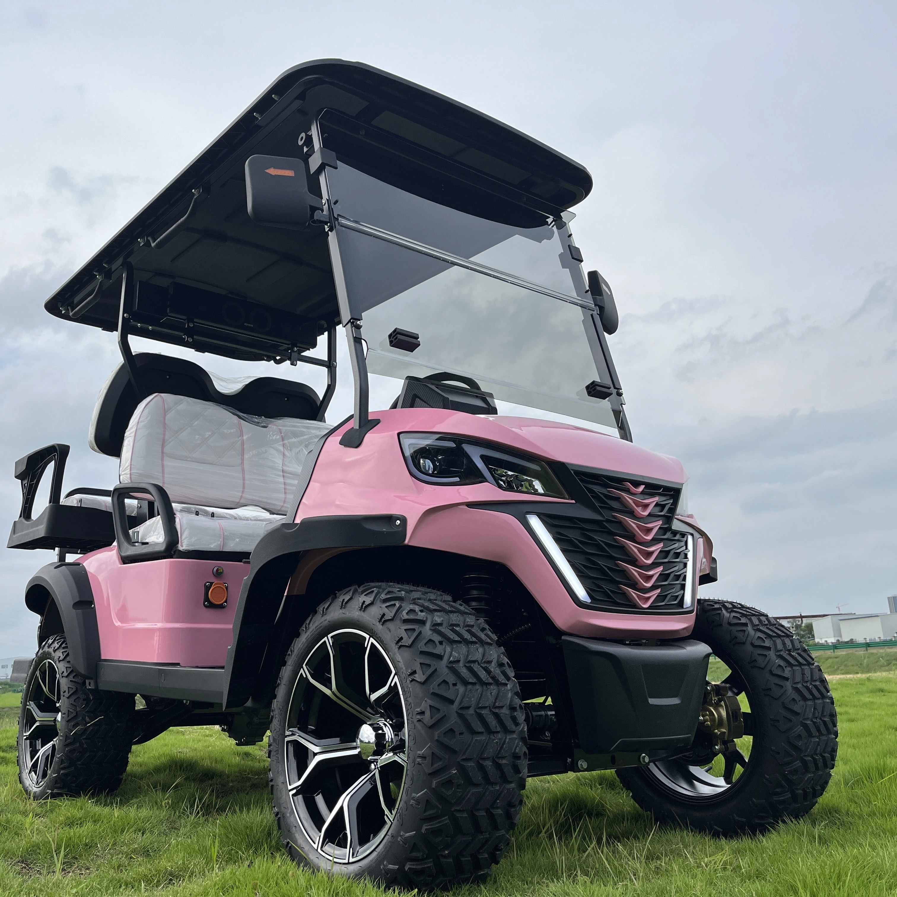 Electric Golf Cart High-Power Motor Electric Hunting Car Club Sightseeing Car The Latest Adult Electric Four-Wheeler with Lithiu