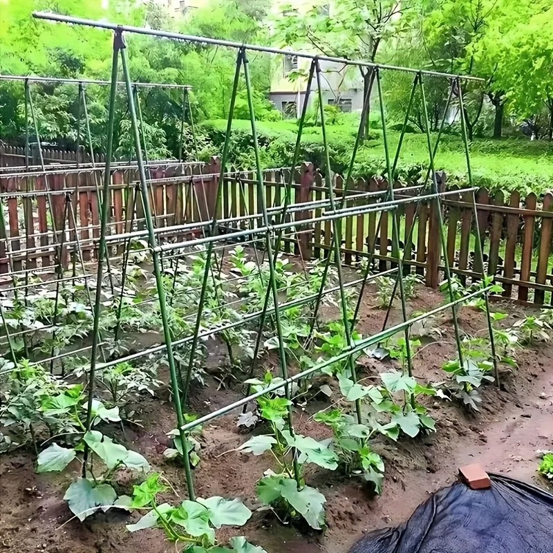 1Set   Climbing Plant Support Stake Set, Plastic Coated Steel Trellis Frame for Growing Tomato Cucumber Beans in Yard   H0983