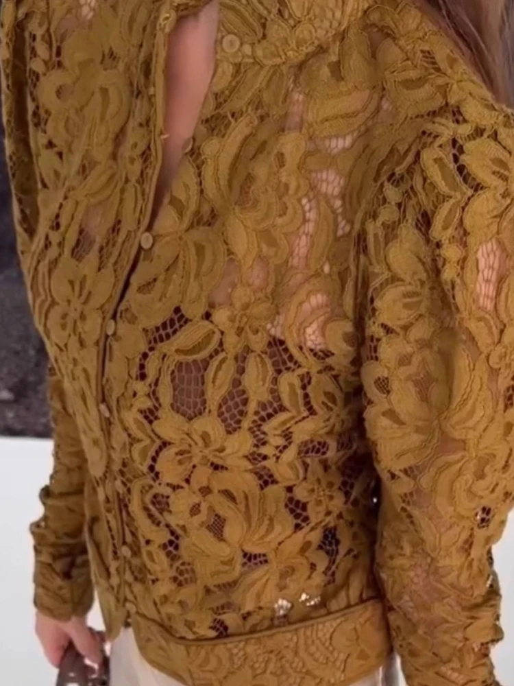 

Casual Long Sleeve Commuter T-shirts Autumn Sexy Lace Embroidered Slim Fit Blouses Women Elegant Solid Color Perspective Tops