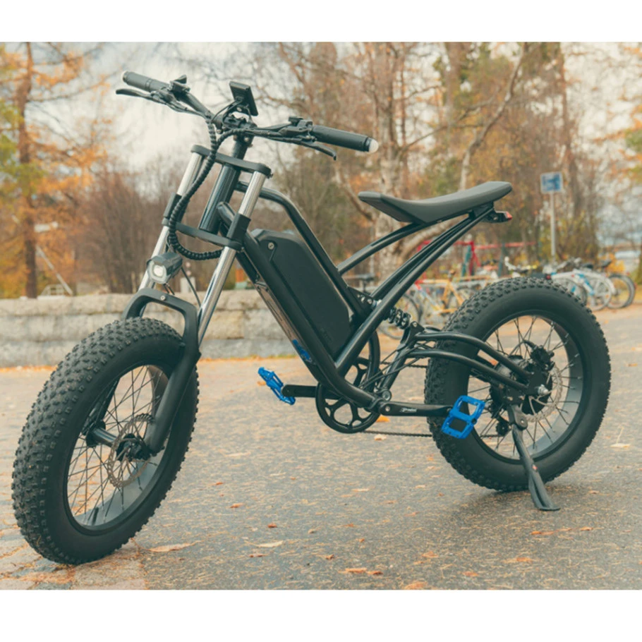 

750W Powerful Fat Tire 48V New Model double crown suspension fork fat tire Electric Motorcycle Bike