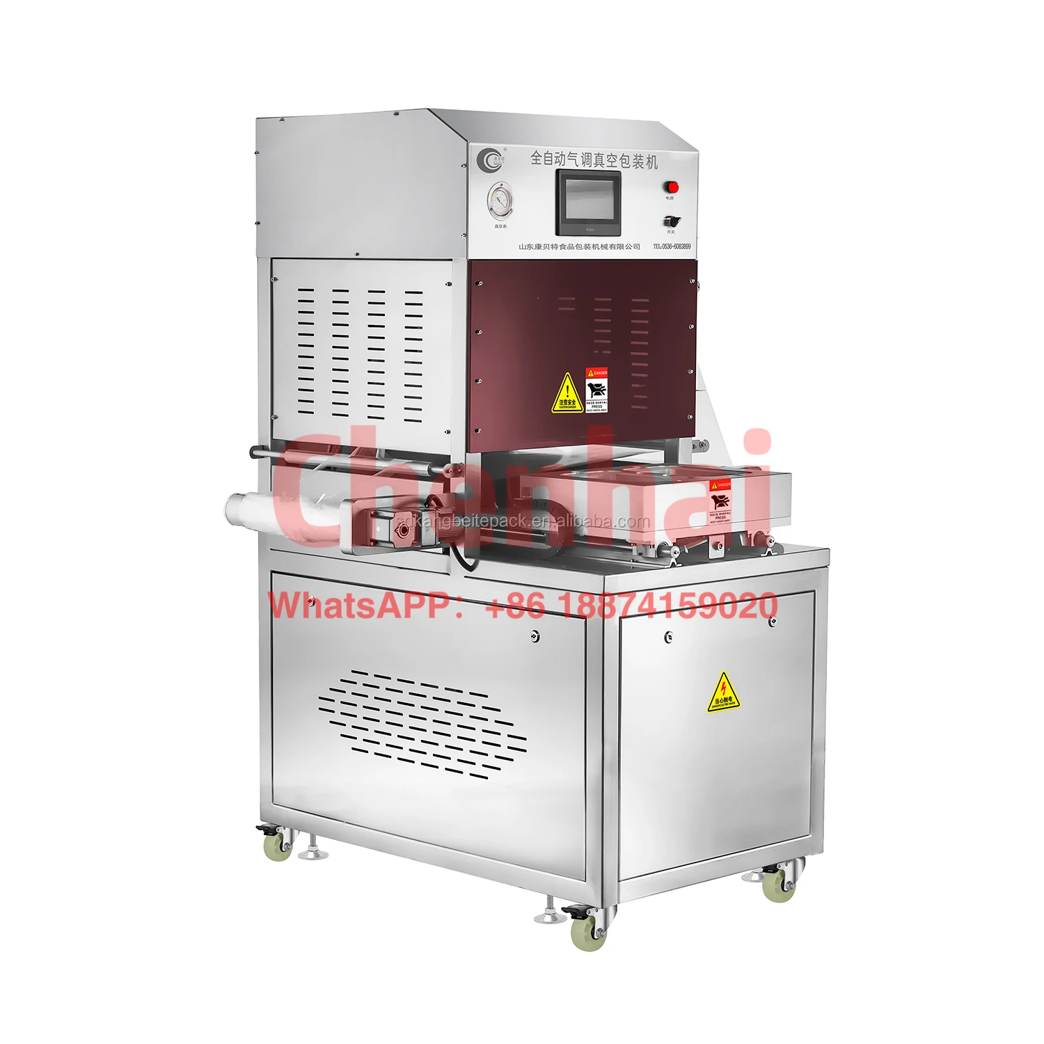 Frozen tilapia fillet packaging machine MAP modified atmosphere packaging machine tray sealer