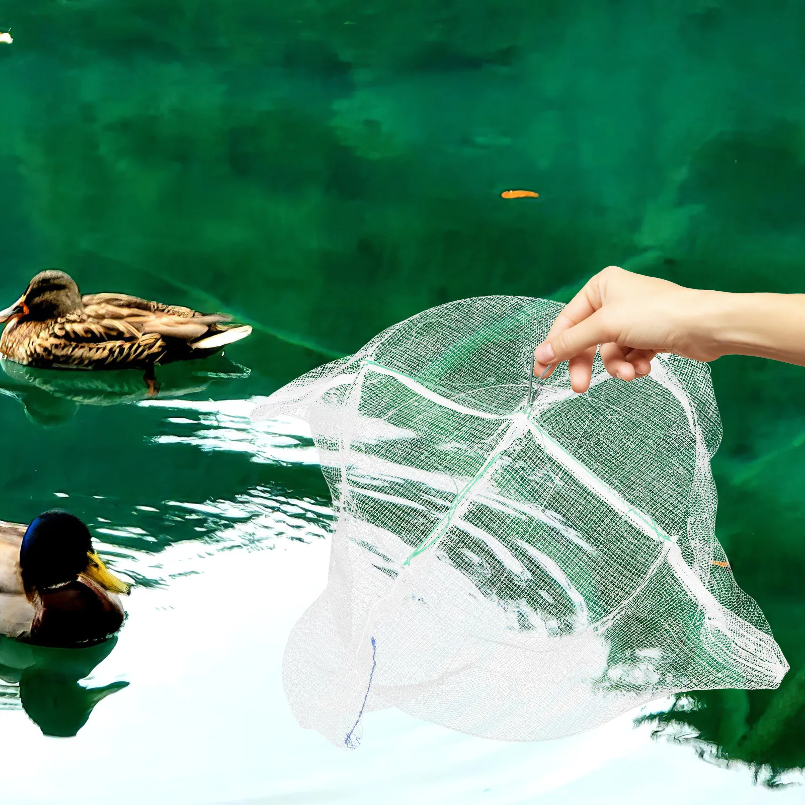 

5pcs Children'S Fishing Net Foldable Mesh Shrimp Cage For Fishpond Crab Netting Reusable Fish Catching Basket Medium Size