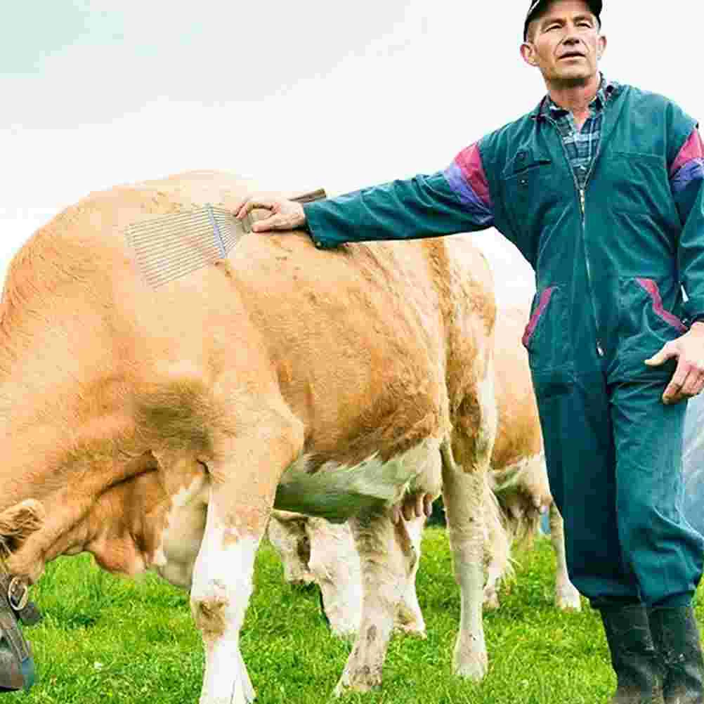 Escova de pente de lã de crina, limpeza de cachorro de estimação, raspador de gado, ancinho de aço para noivo