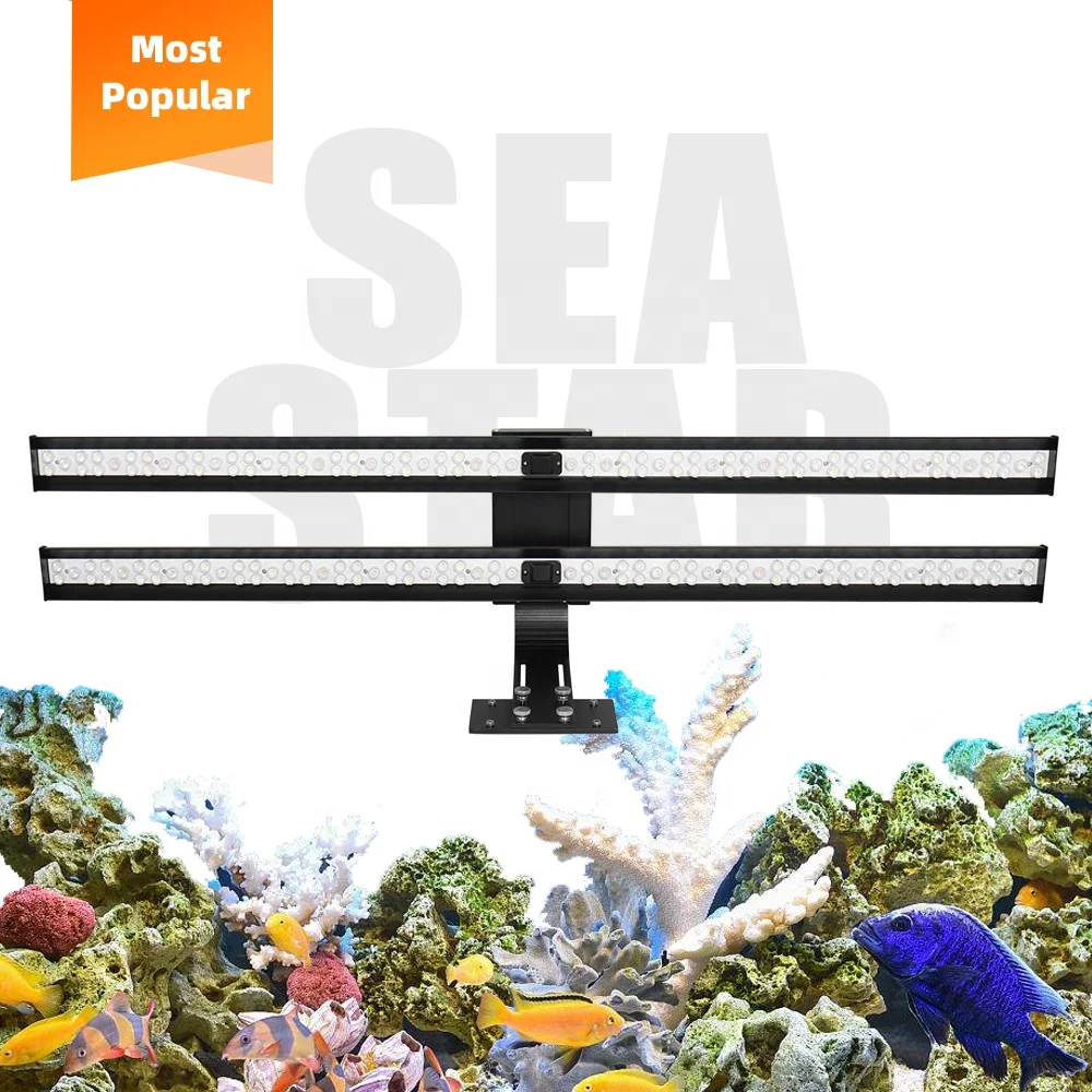 

New Arrival Aquarium Light Sunset Sunrise Simulation Aquarium Led Light Betta Fish Tank Filter Light Heater Supplier In China