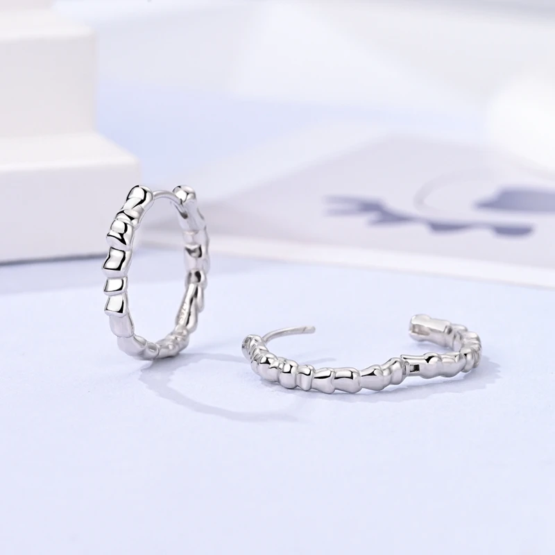 New Original 925 Sterling Silver Earrings Inlay Stones Double Hoop Earrings for Women Fashion High Quality Zircon Jewelry Gift