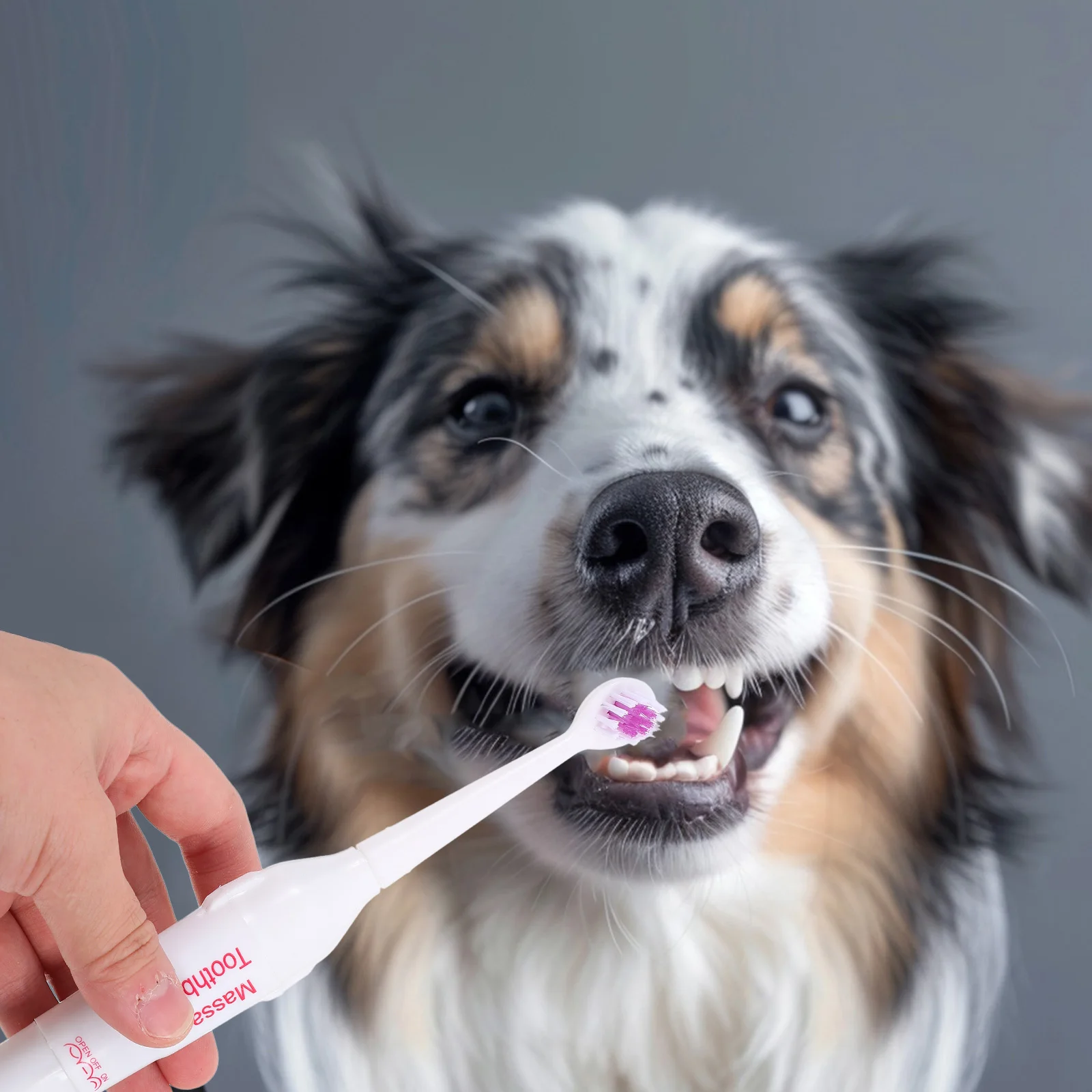 

2pcs Electric Toothbrush for Pets Portable Travel Ultrasonic Brush Waterproof Dog Cat Puppy Cleaning Soft Bristles Practicality