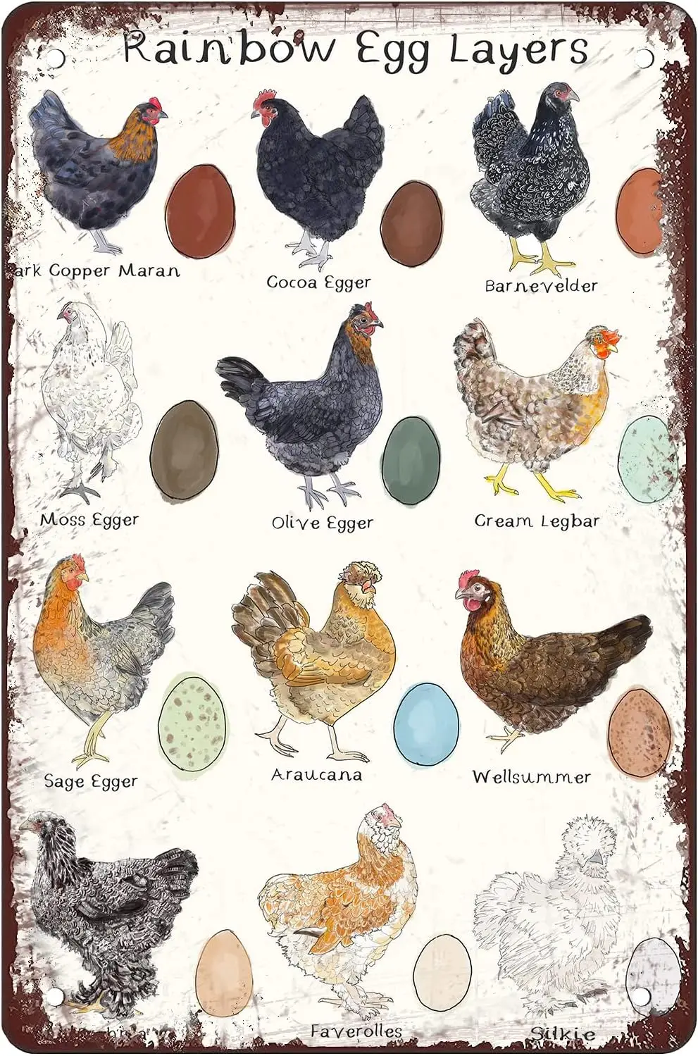 Chicken Breeds Tin Sign - 8x12 Inch Vintage Decorative Signage with Egg Layers Art Print Metal, Perfect for Home Kitchen Co sign