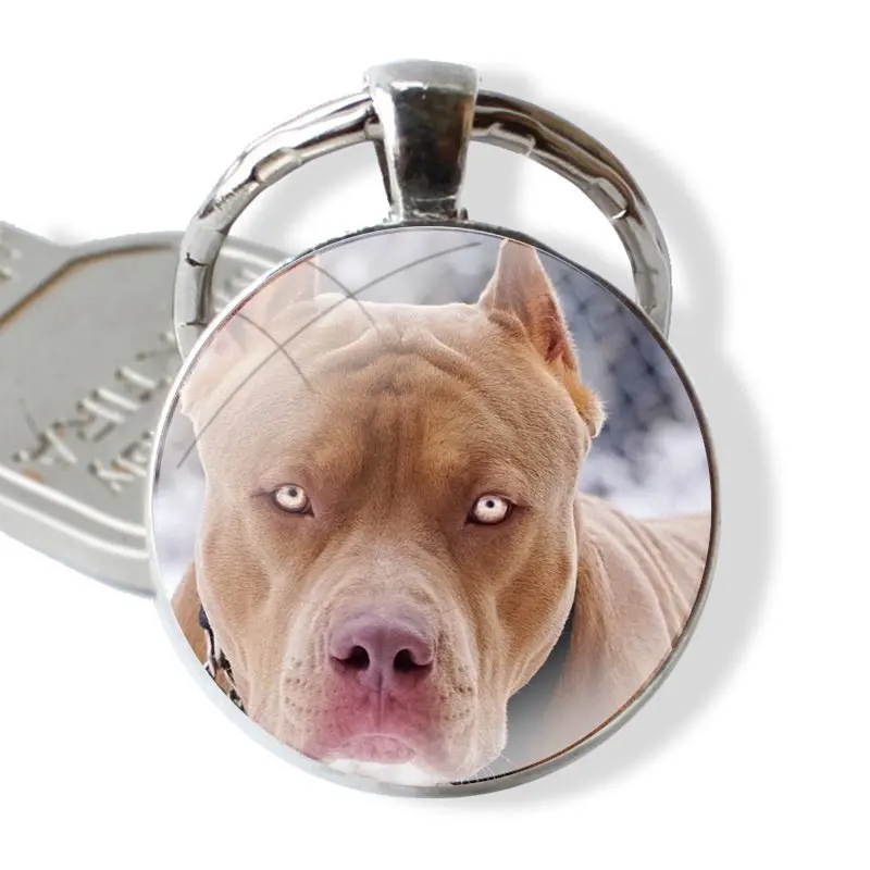 Pit Bull Lovely Pet Dog Pitbull Keychain Handmade Glass Cabochon Key Ring Holder Pendant Key Chains