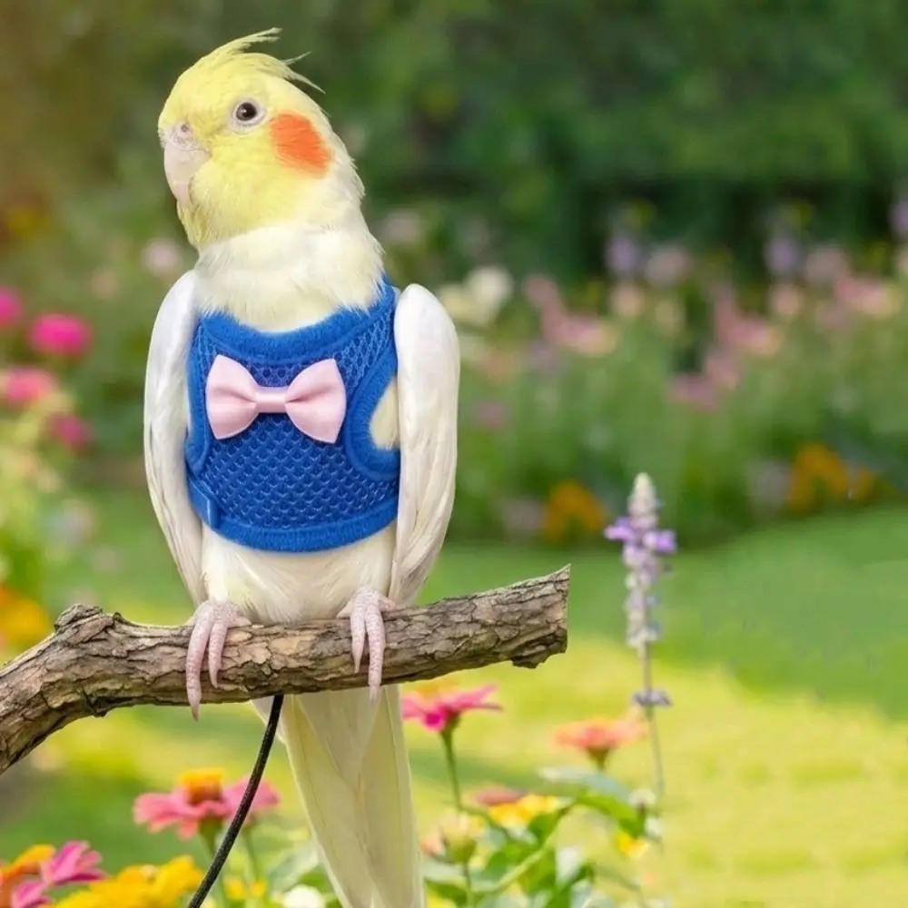 

Adjustable Parrot Flying Harness Safety Breathable Bird Training Rope Comfortable Escape Proof Parrot Vest Macaw Accessories