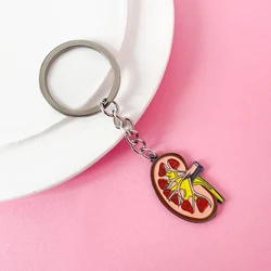 Medical Kidney Organ Keychain Anatomy Urology Jewelry Enamel Pendant Key Chain for Doctor Nurse Medicine Student