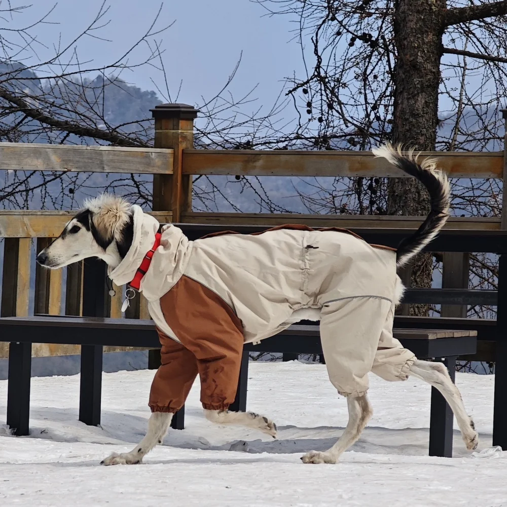 Hundekleidung im Winter, Schnee, Wetter, verdickter Plüsch, 4-beinige Khaki-Jacke, winddichter, wasserdichter, warmer Mantel für Italien, Windhund, Huibit – Detail 5