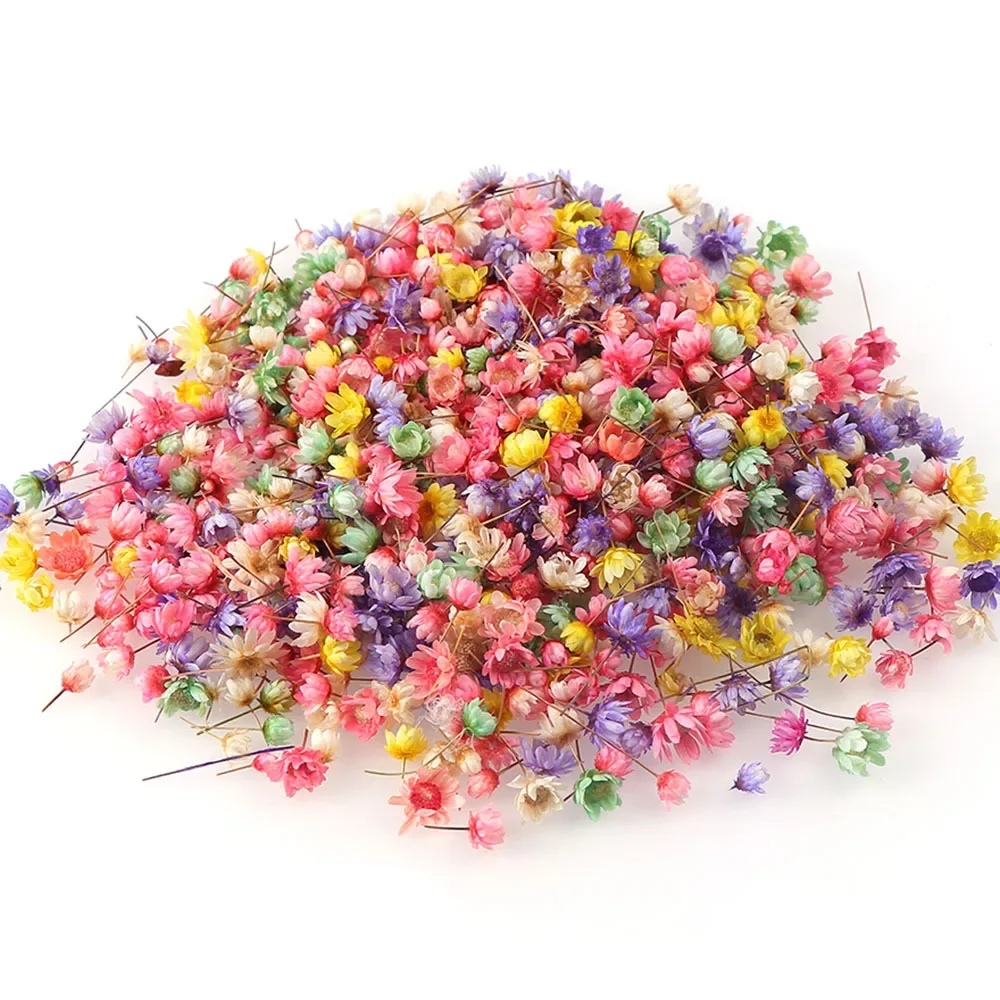 100/200PCS Dried Flowers Brazil Little Star Flower DIY Craft Epoxy Resin Candle Nail Art Epoxy Resin Filling Making Jewellery