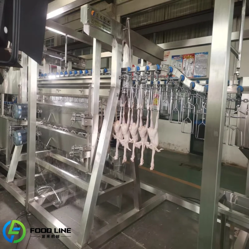 Customized Poultry Slaughter Line With Plucking Machine Automatic Poultry Feather Plucker For Chicken Duck Slaughter Line
