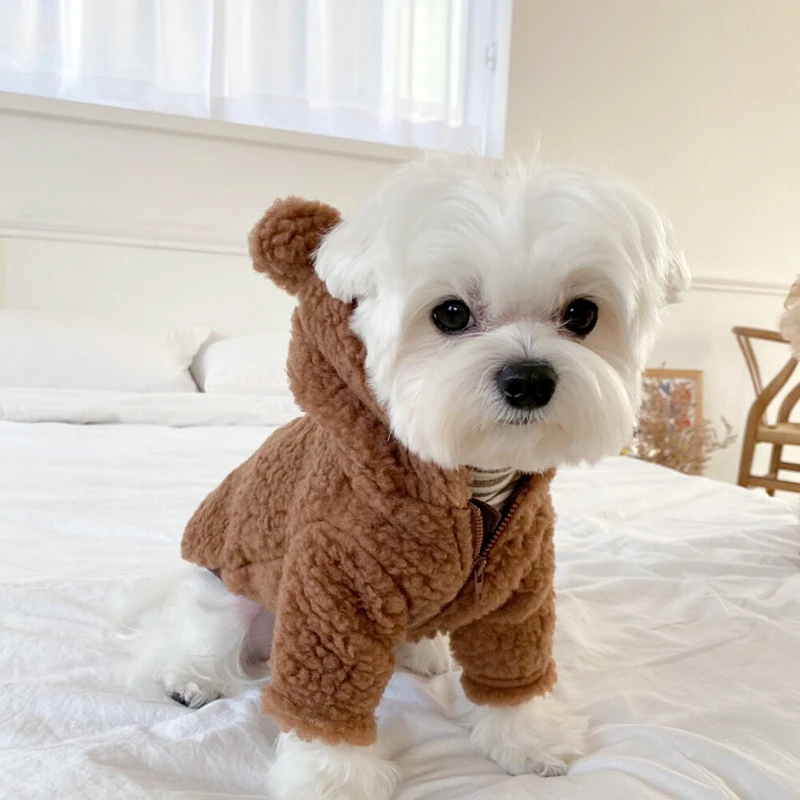 Warm Dog Hooded Clothes Bear Transformed Clothes Cute Puppy Winter Dog Clothing Coat Plush Button Up Shirt Jackets Dog Clothes