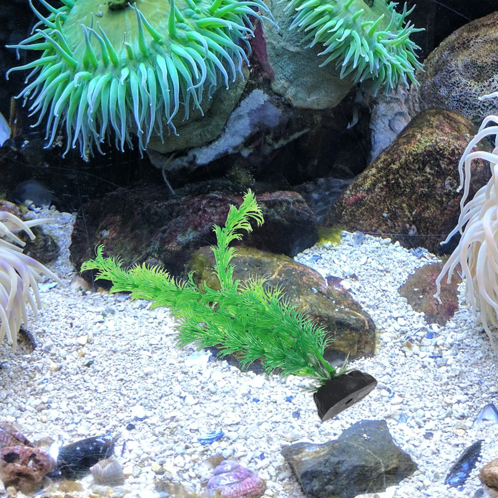 Planted Aquarium Models - 12pcs พลาสติก Aquarium พืชการสร้างแบบจําลองที่สมจริงอุปกรณ์ตกแต่งถังปลาหญ้าอุปกรณ์เสริมปลอดภัยน้ําทนทาน PET Supplies