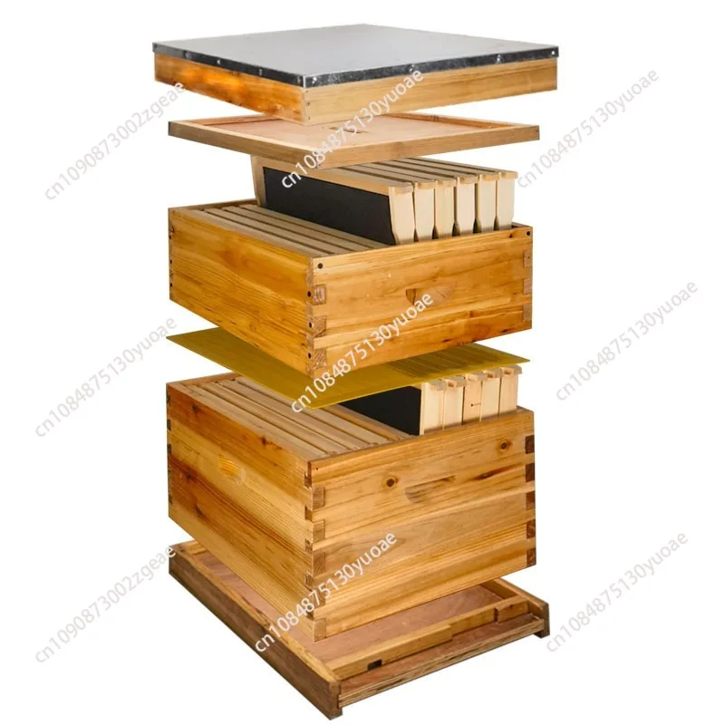 

Beehive 10-рамочный трехслойный инструмент для пчеловодства, выравниватель королевы, рама гнезда, основа для гнезда, может быть оснащена