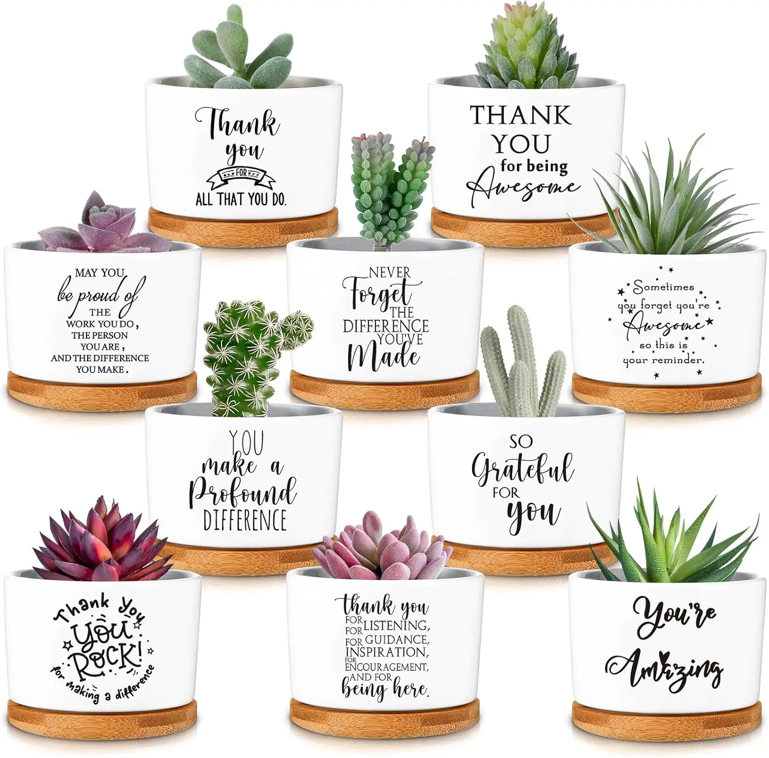 

20 Pcs Succulent Plant Gifts in Ceramic Pots with Bamboo Tray for Women, Coworkers, Teachers, Nurses, Volunteers