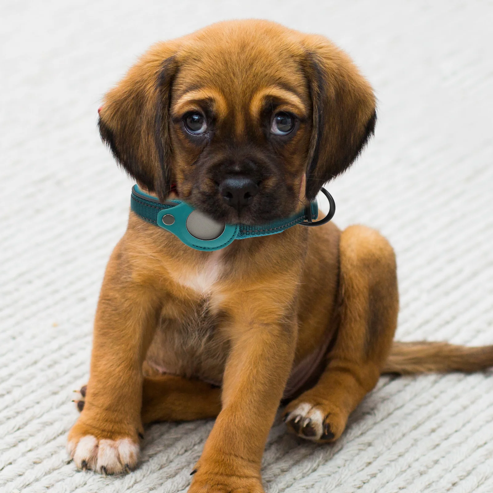 

Pet Collar Protective Case Tracker Holder Reflective Design Durable Nylon Dog Fitness