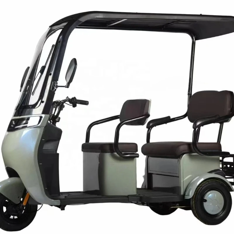 

Adult electric tricycle thickened steel frame 1000W power open body passenger tricycle electronic driving