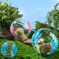 Transparent Sport Ball Grounder Rat Small Pet Mice Jogging Ball Toy Hamster Gerbil Exercise Ball Play Toy Small Pet Supplies