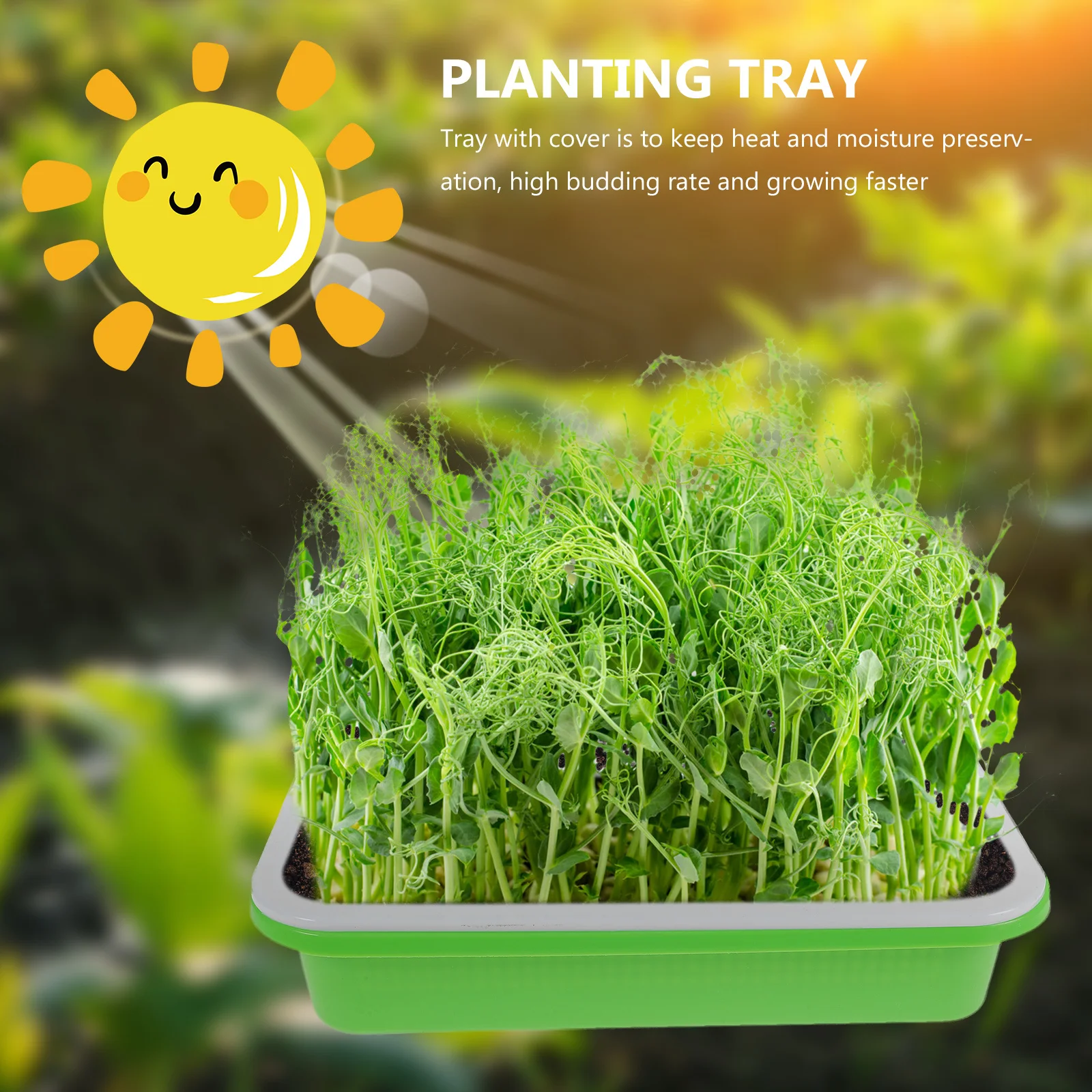 

2Sets Sprout Trays High-Quality Soil-Free Seed Germination Kit for Wheatgrass Mung Bean Soybean Growth with Lid Moisture