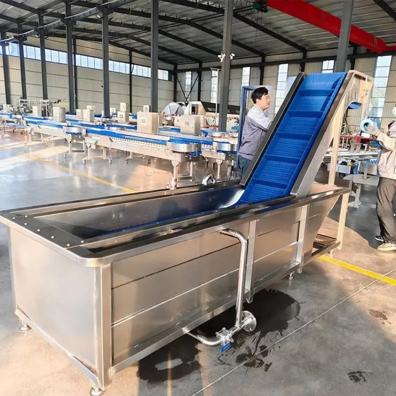 Automatic Water Saving Air Bubble Fish/shrimp Cleaning Machine Seafood Washing Machine Customized