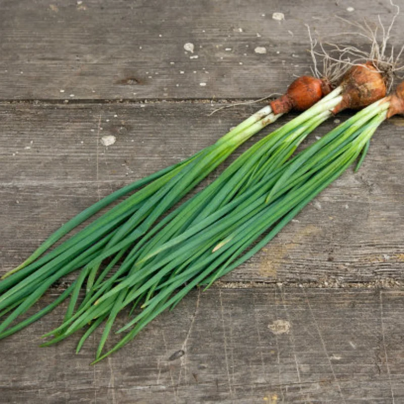 

MN 1/12 MN168 RC Remote Control Car Parts Metal Upgrade Mirror Wheel Hub Tire Hex Connector