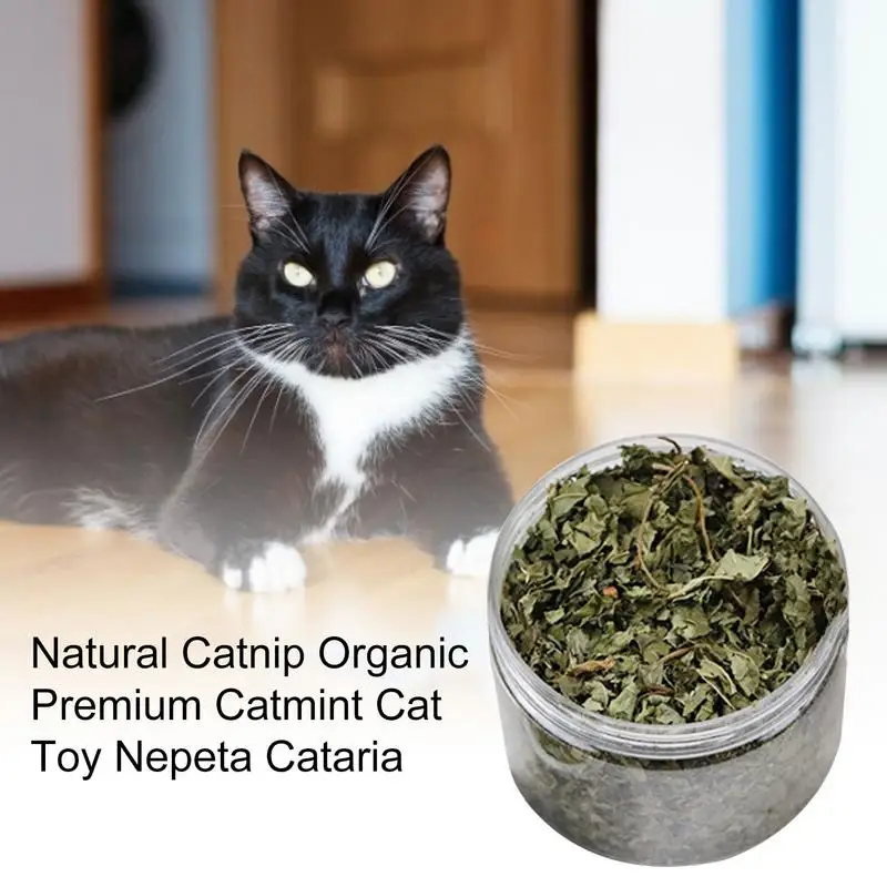 Simply Catnip Natural Organic Premium Catnip 40g Catmint Menthol Flavor Can Be Sprinkled On Toys And Catnip Toys