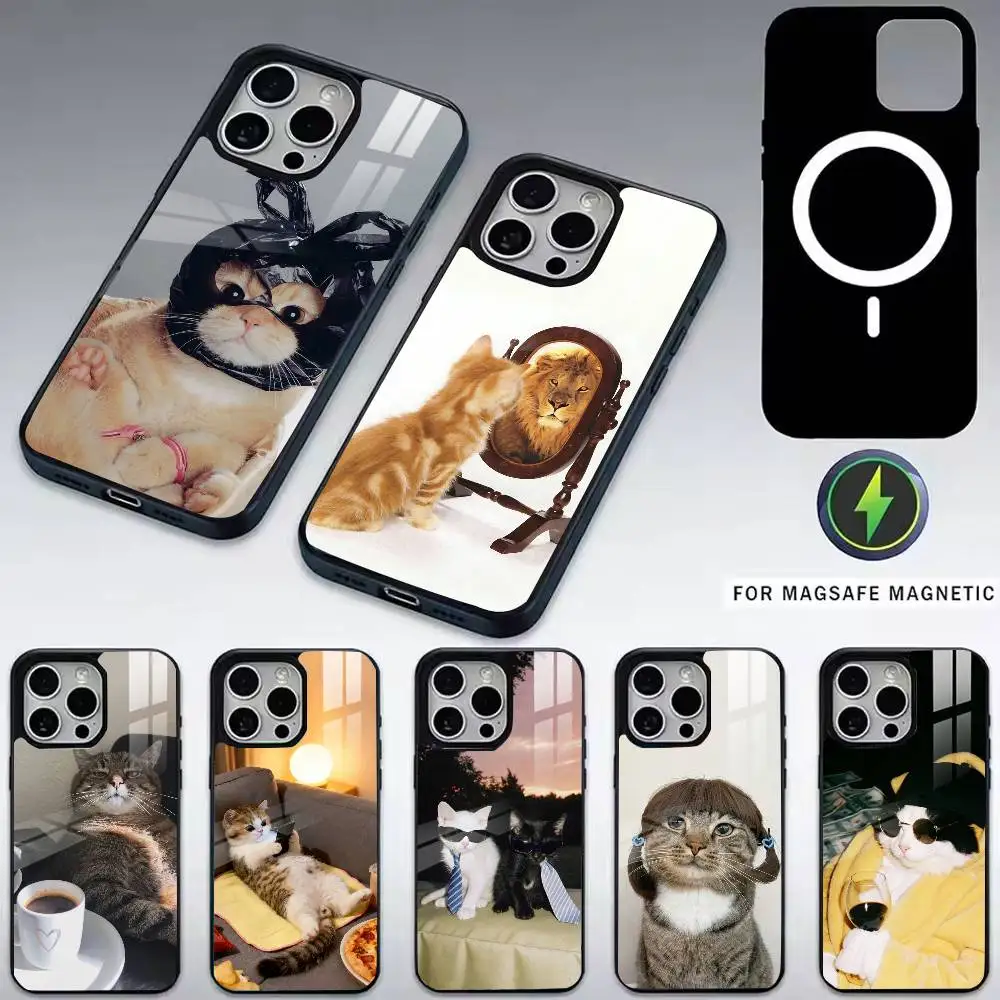 

Funny C-Cute Cat Phone Case For iPhone17,16,15,14,13,12,11 Plus,Pro Magnetic For Magsafe Wireless Charging