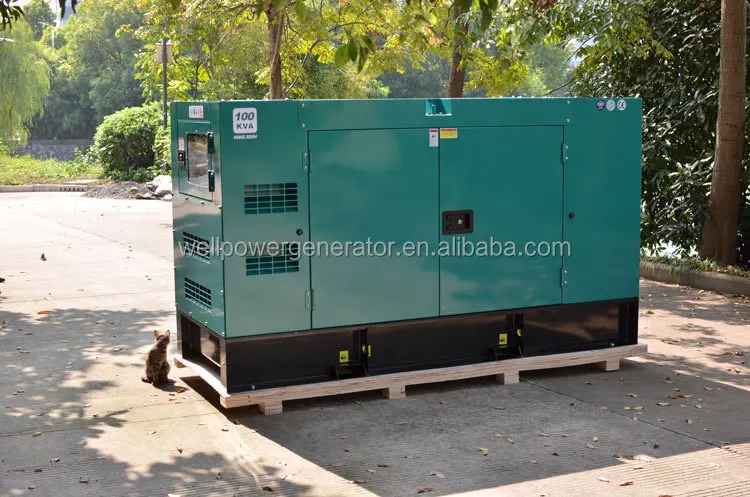 Wellpower 50KVA Generator With Cummins 4BTA3.9-G2 Soundproof 65KVA 70KVA 50KW Generadors Dies el Generators 60HZ