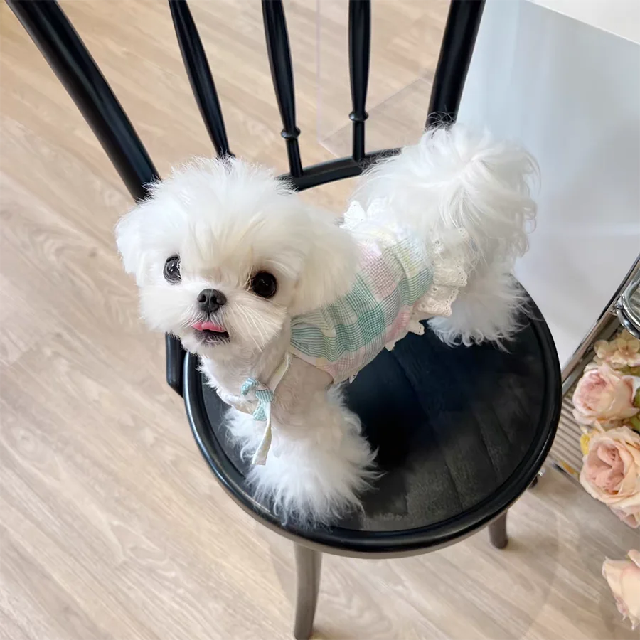 Plaid Dress Dog Clothes Suspender Skirt Small for Dogs Clothing Pet Outfits Cute Summer Yorkies Print White Boy Ropa Para Perro