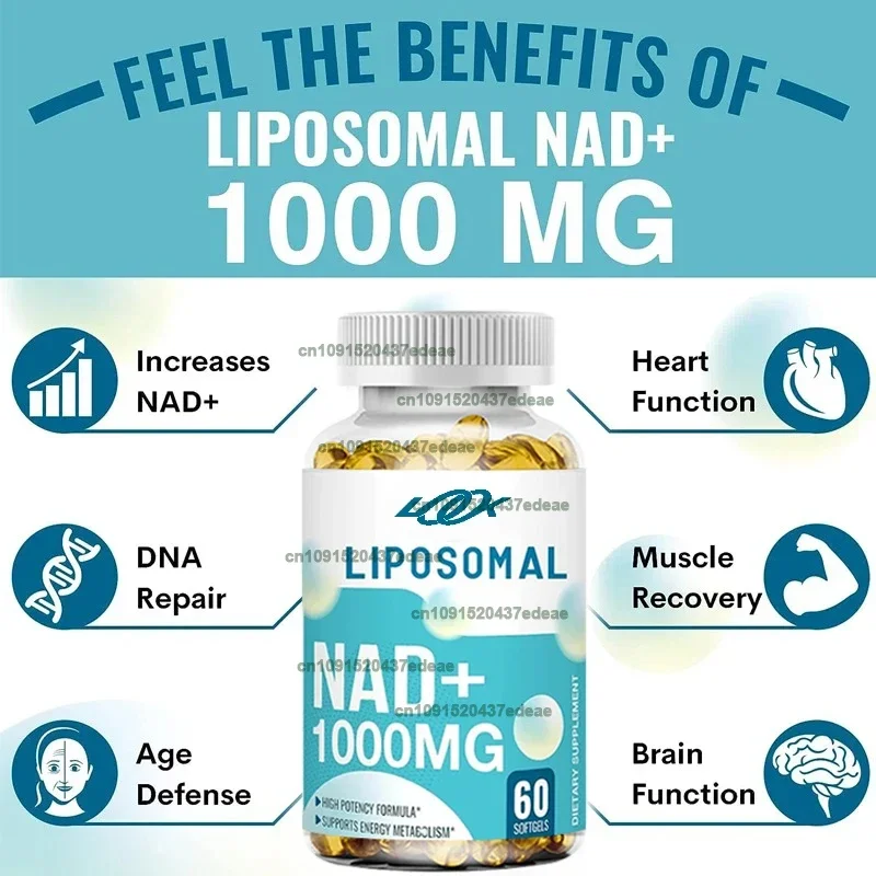 Liposom saf NAD+takviyesi 1000 mg, en yüksek NAD Buruşuk yüksek emici enerji ve DNA onarımı yaşlanma karşıtı 60 yumuşak kapsül