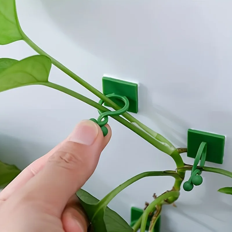 30Pcs Invisible Plant Climbing Wall Hooks, Self-Adhesive Reusable Adjustable Vine Holders for Indoor & Outdoor Garden