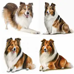 M427 Sheltie Dog Animal Wall Sticker Bathroom Toilet Decor Living Room Cabinet Refrigerator Home Decoration Sticker Decals