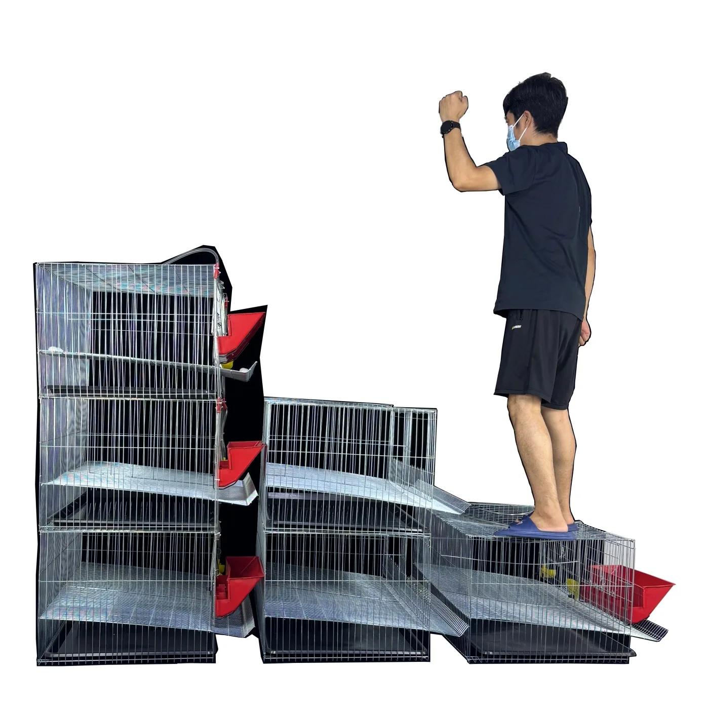 Quail Cage, Multi-Layer Stackable, Large Space, 50 Quails, Automatic Feeding, Egg Laying, Bird Cage