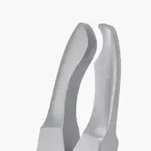 

Dental Crown Crimping Contouring Johanson Plier Stainless Steel Hemming or Necking Forceps Dentistry Instruments Medical Tools