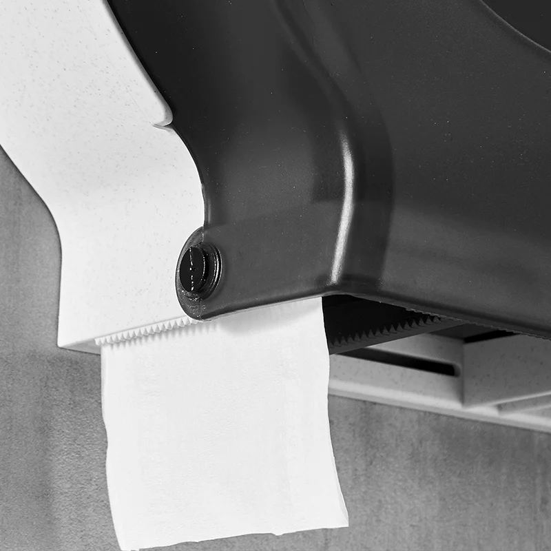 Hotel Toilet Grote Papierrolhouder Dubbele Rolhouder Wandhangende Standaard Commercieel Dubbel Papier Toiletpapierrek