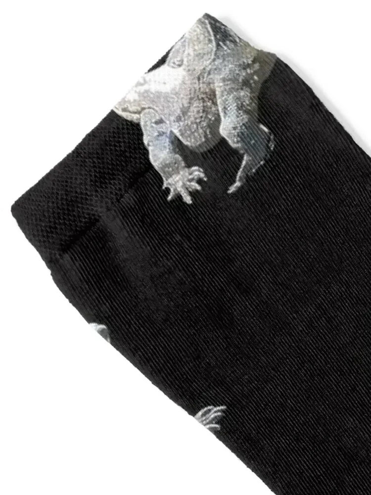 Komodo Dragon White Alternate Print Socks floor Crossfit new year Men's Ladies Socks Men's