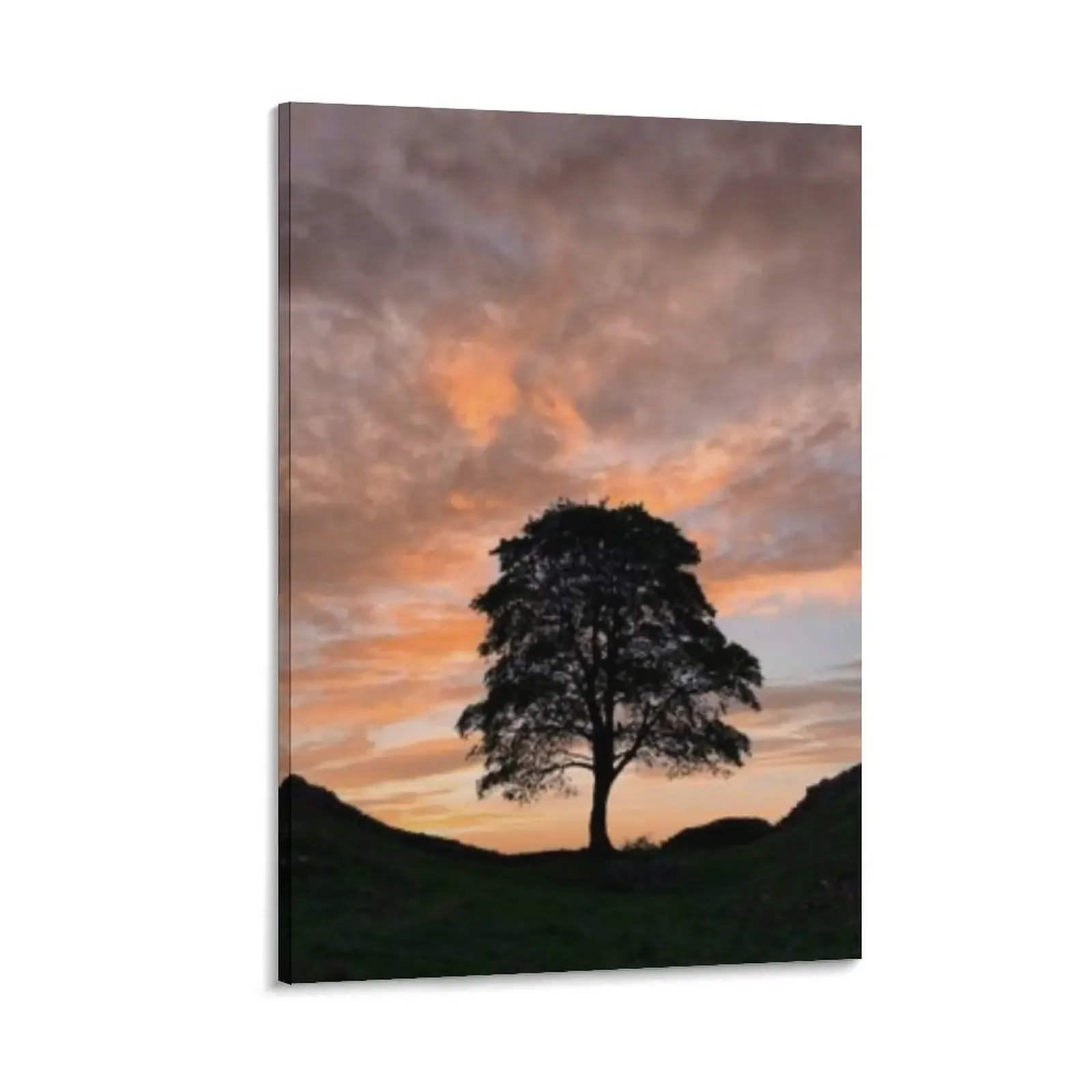 

Sycamore gap Canvas Painting posters for room paintings wall decor wall decoration paintings